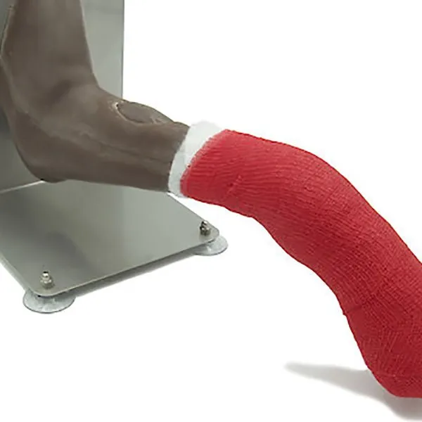 Advanced Dog Leg for IV Training and Wound Care Simulator