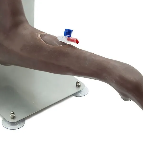 Advanced Dog Leg for IV Training and Wound Care Simulator