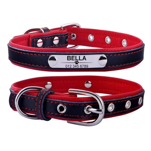 Classic Personalized Custom Collar
