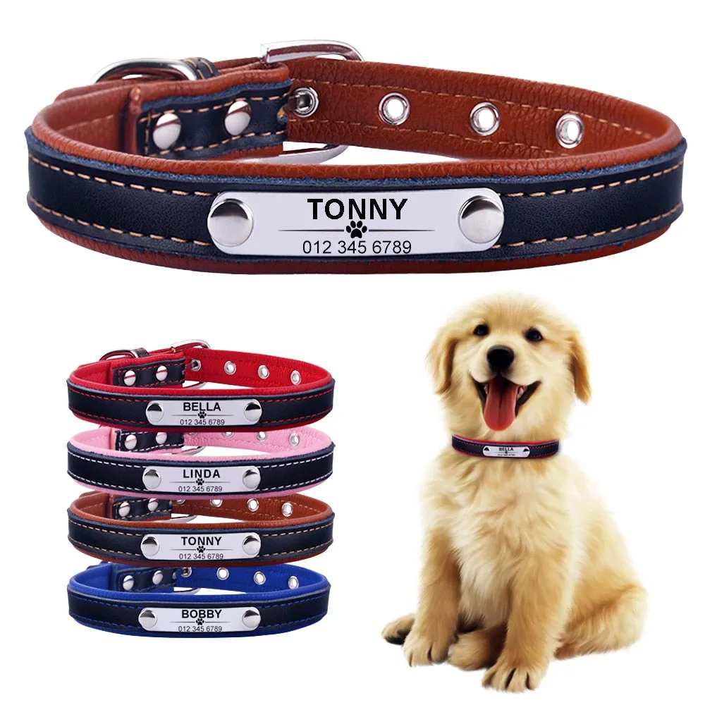 Classic Personalized Custom Collar