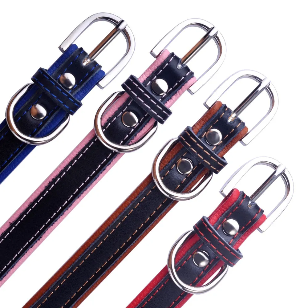 Classic Personalized Custom Collar