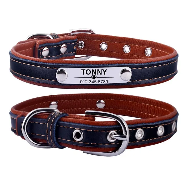 Classic Personalized Custom Collar