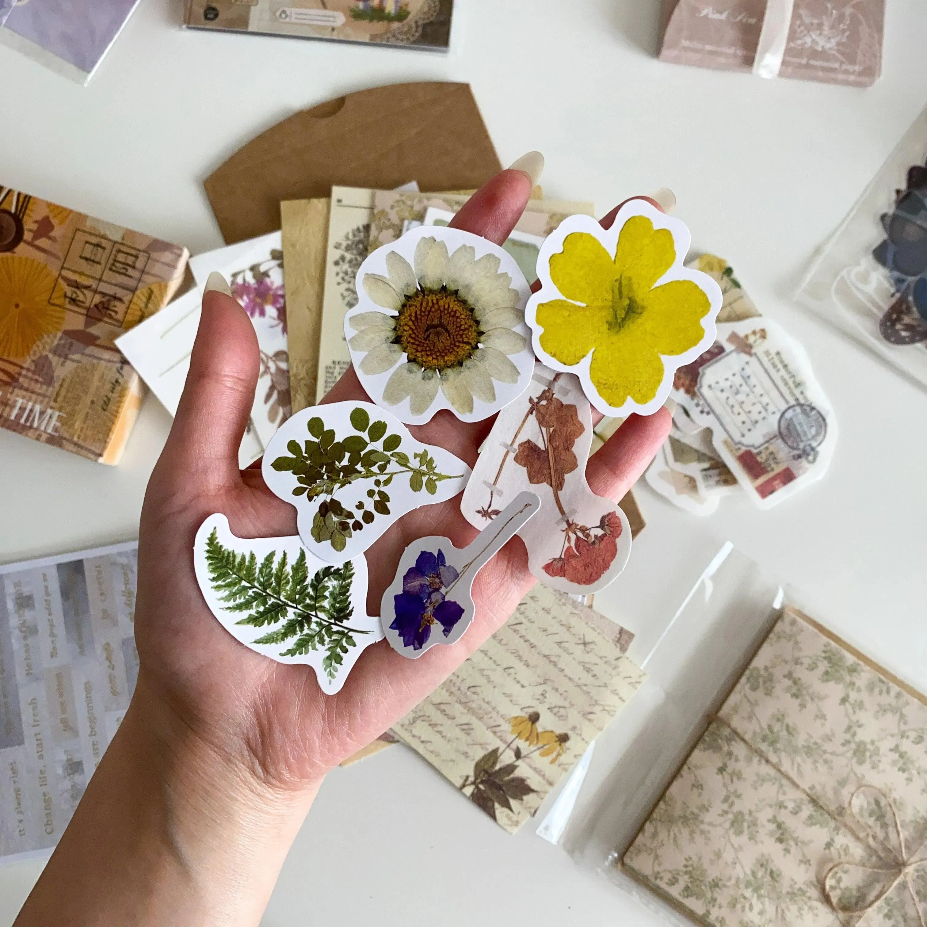 DIY Phone Case Summer Box - Personalize Your Phone