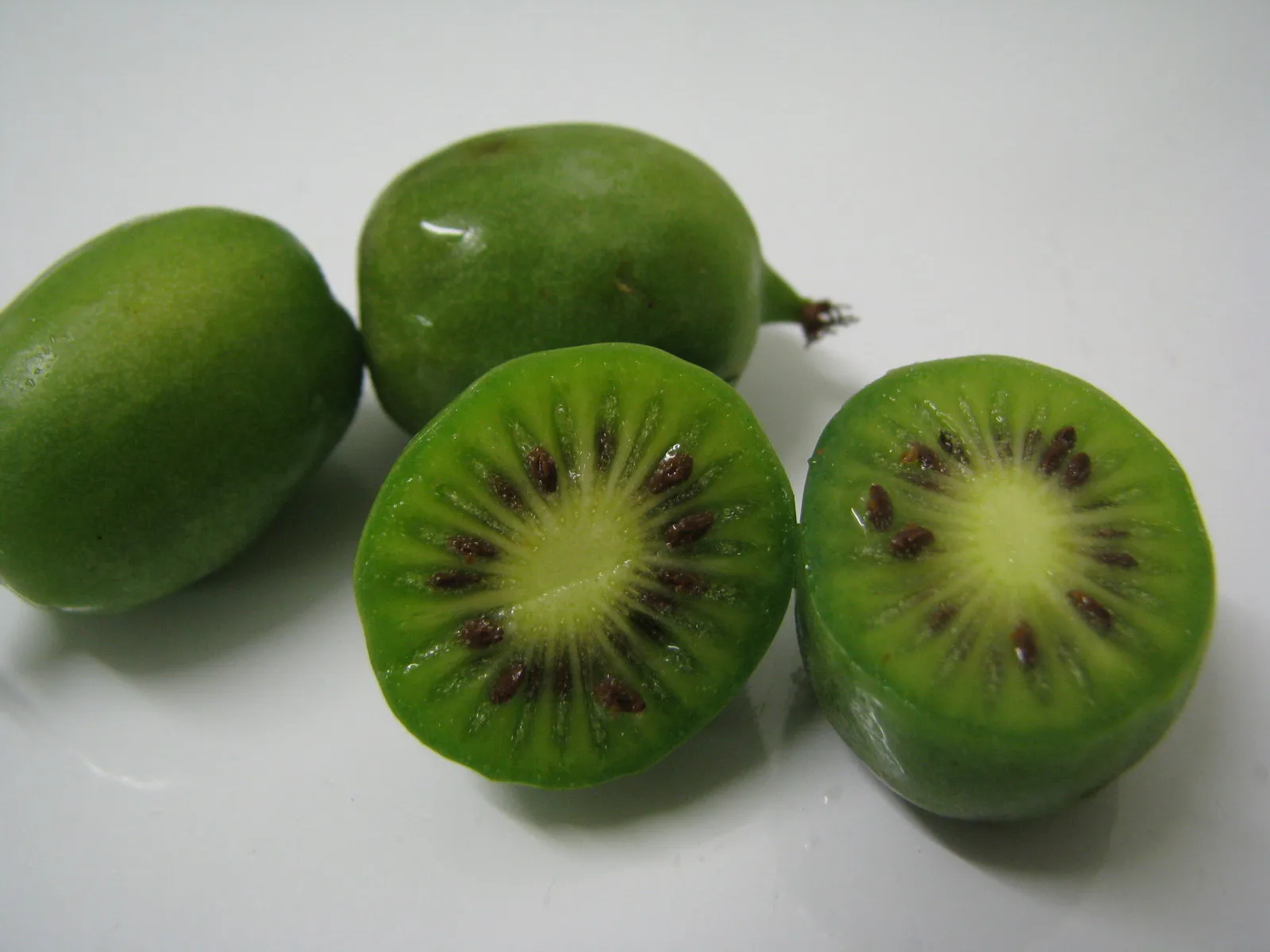 Hardy Kiwi Actinidia arguta 25 Seeds