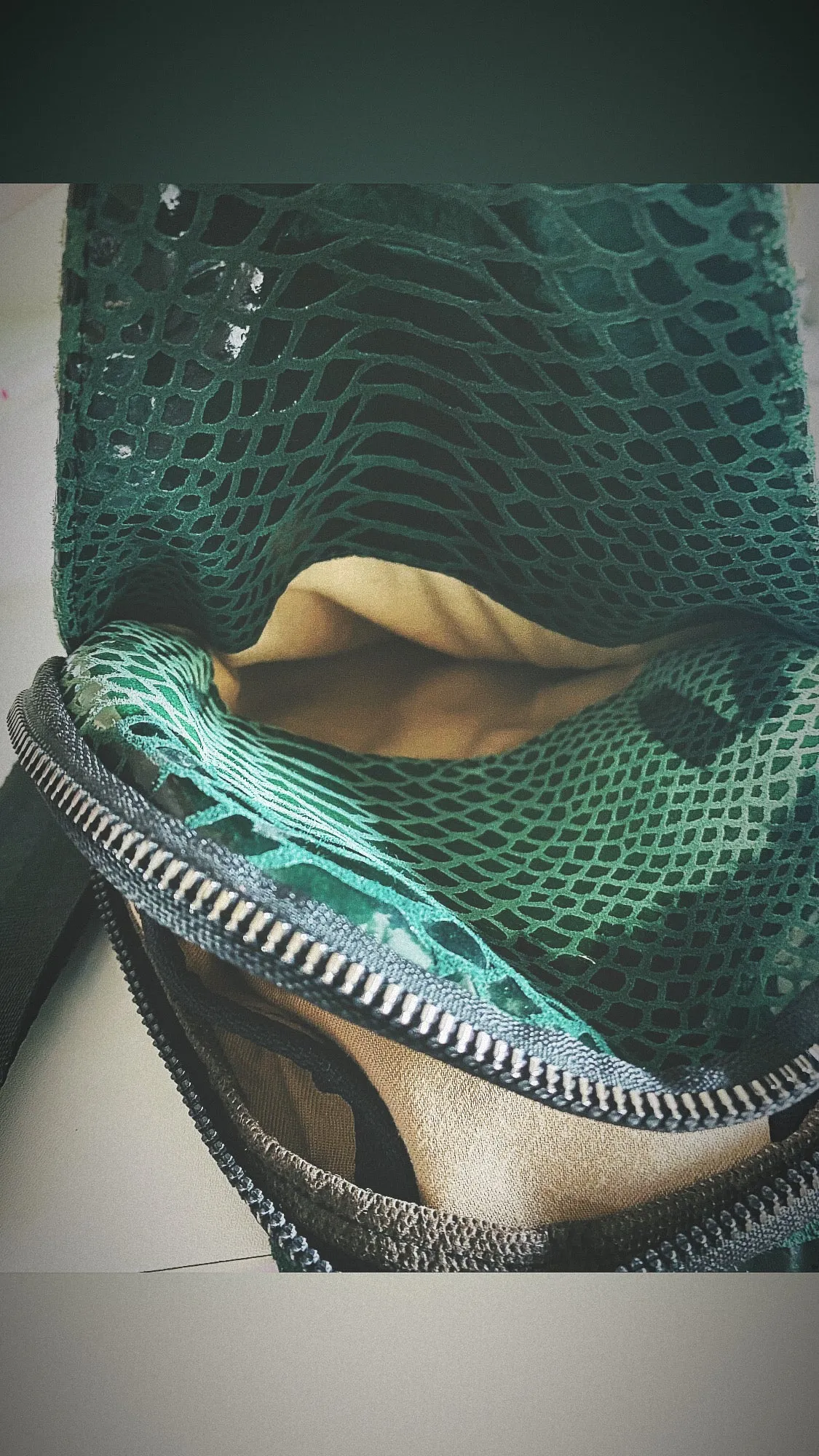 Snakeskin Bag