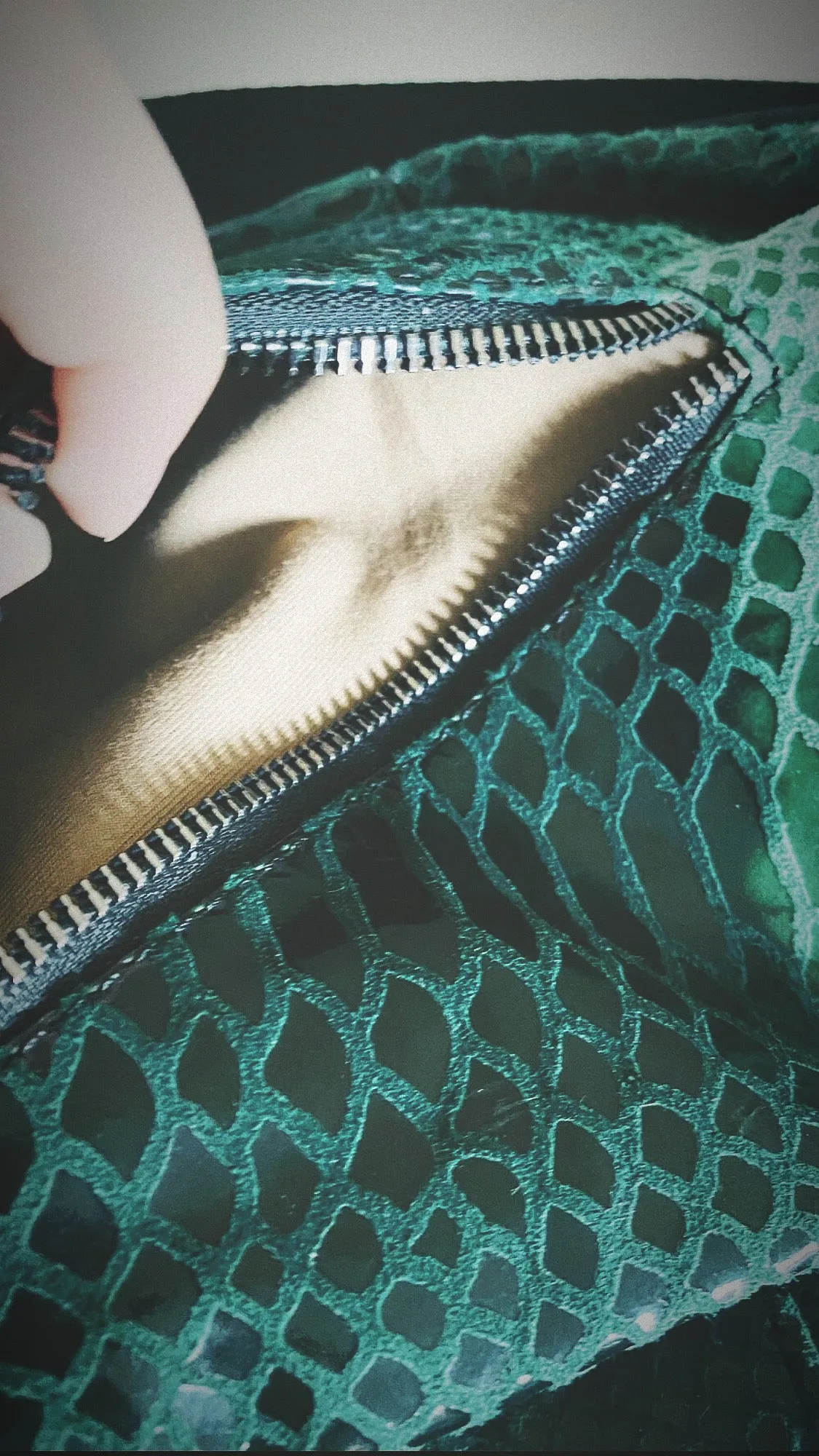 Snakeskin Bag